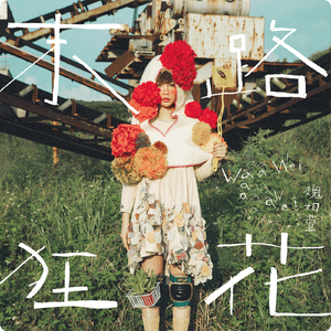 欧美肥婆猛交❌❌❌❌在线
