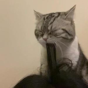 欧美肥婆猛交❌❌❌❌在线
