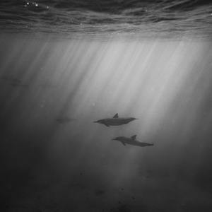 欧美肥婆猛交❌❌❌❌在线
