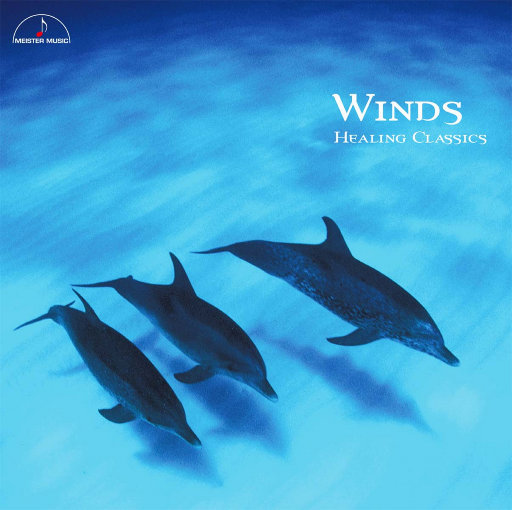 欧美肥婆猛交❌❌❌❌在线
